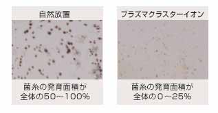 付着カビ菌の抑制効果